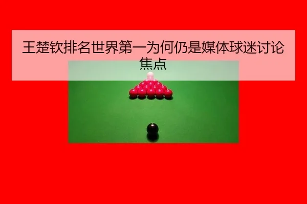 wang-chu-qin-pai-ming-shi-jie-di-yi-wei-he-reng-shi-mei-ti-qiu-mi-tao-lun-jiao-dian-2-463.jpg